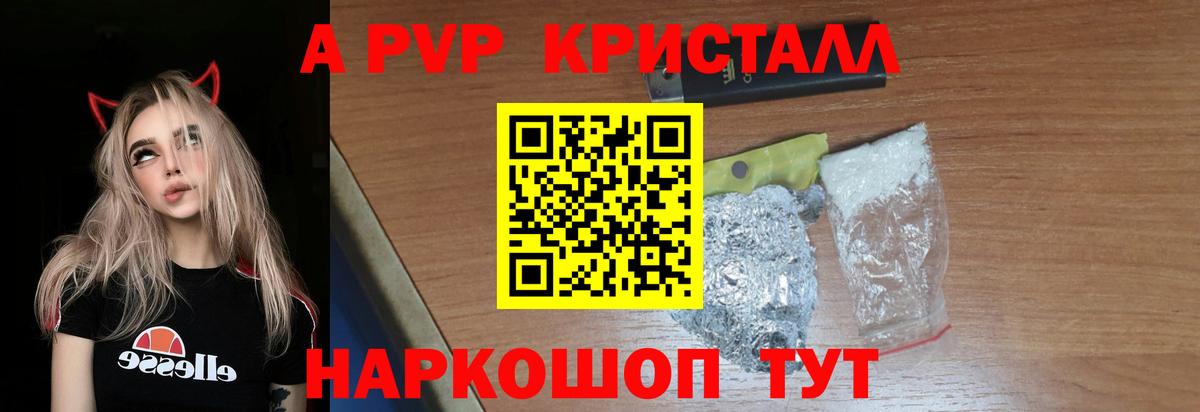 Alfa_PVP СК Нижнекамск