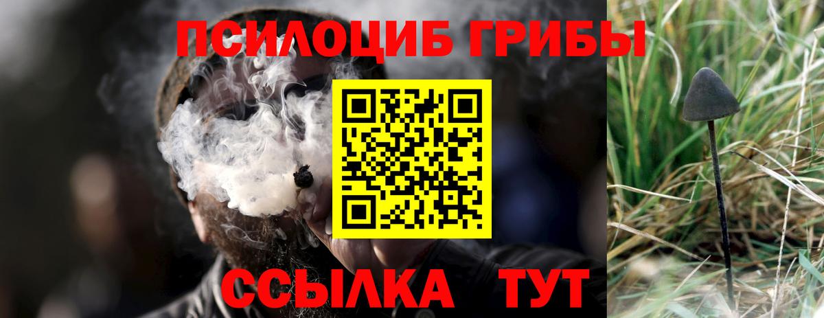 Псилоцибиновые грибы Cubensis  Вход с VPN  Нижнекамск 